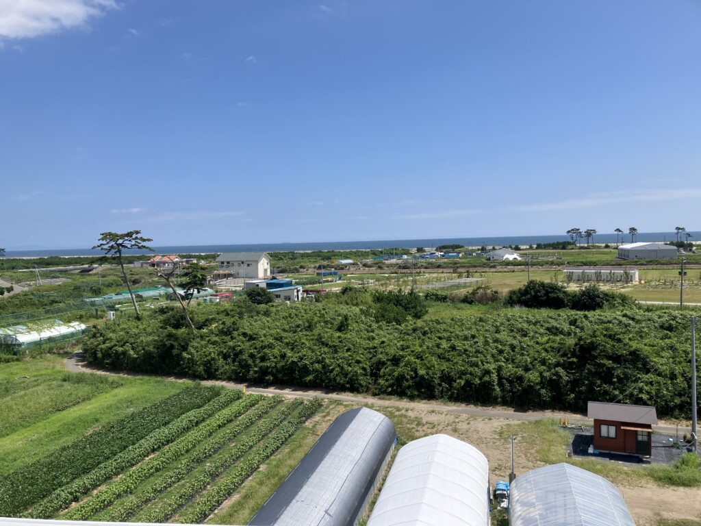 屋上からの景色