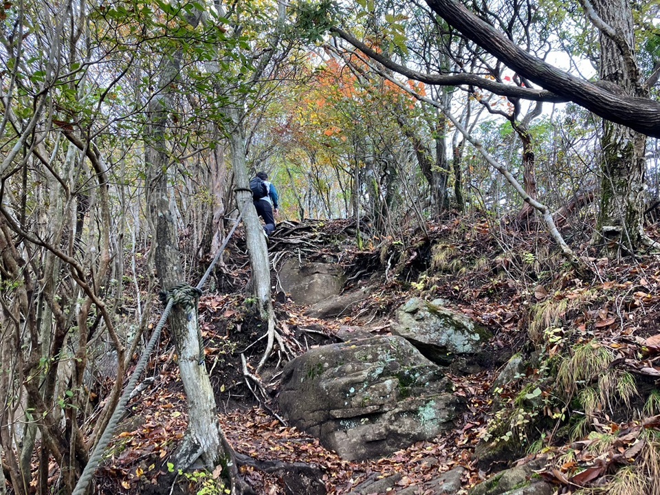 二本ボソから山頂へ