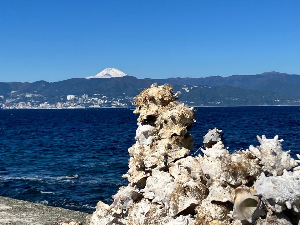 サザエの殻と富士山