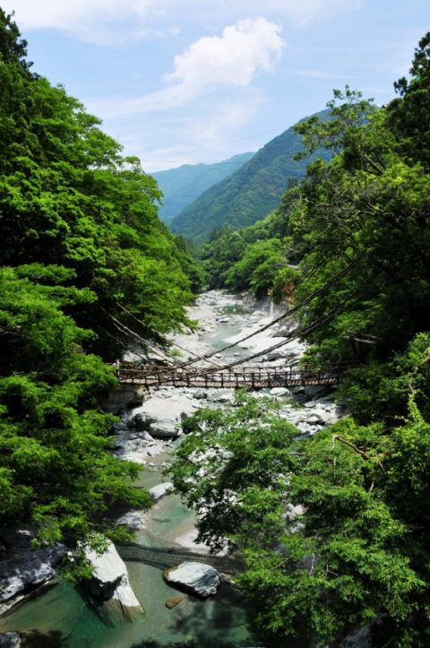祖谷のかずら橋