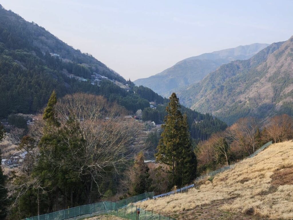 敷地からの風景