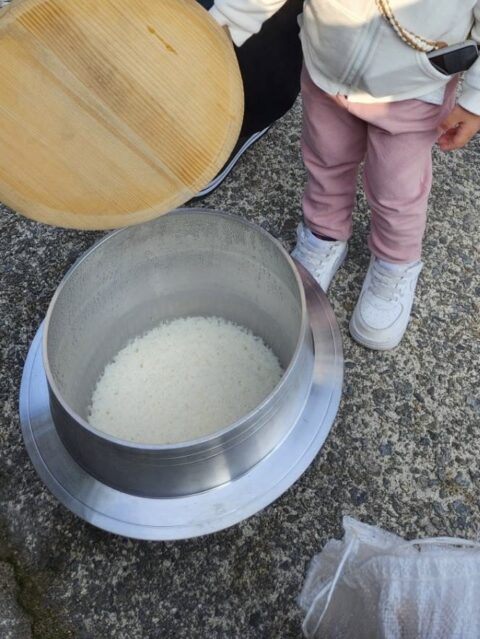 お米　炊きあがり