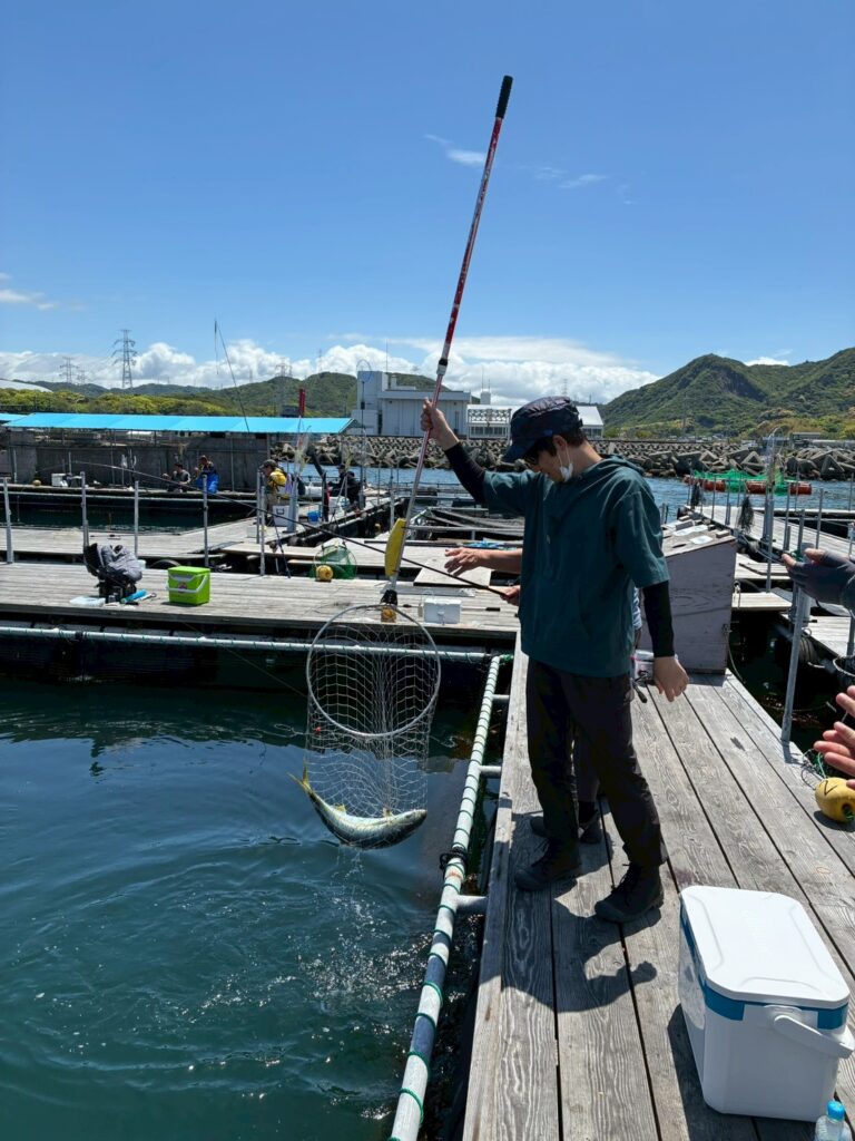 シマアジを釣る様子