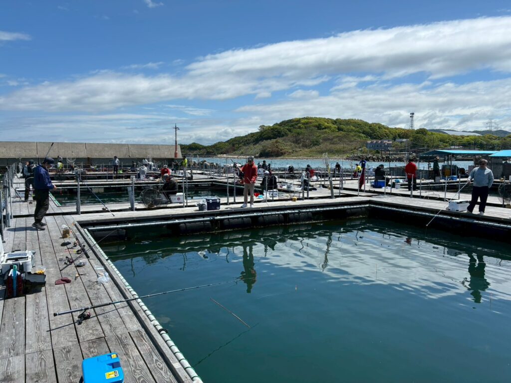 釣り堀の様子