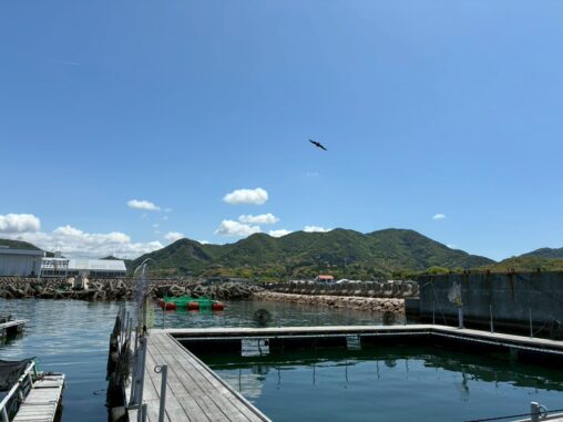 釣り堀からの景色(青空・山)