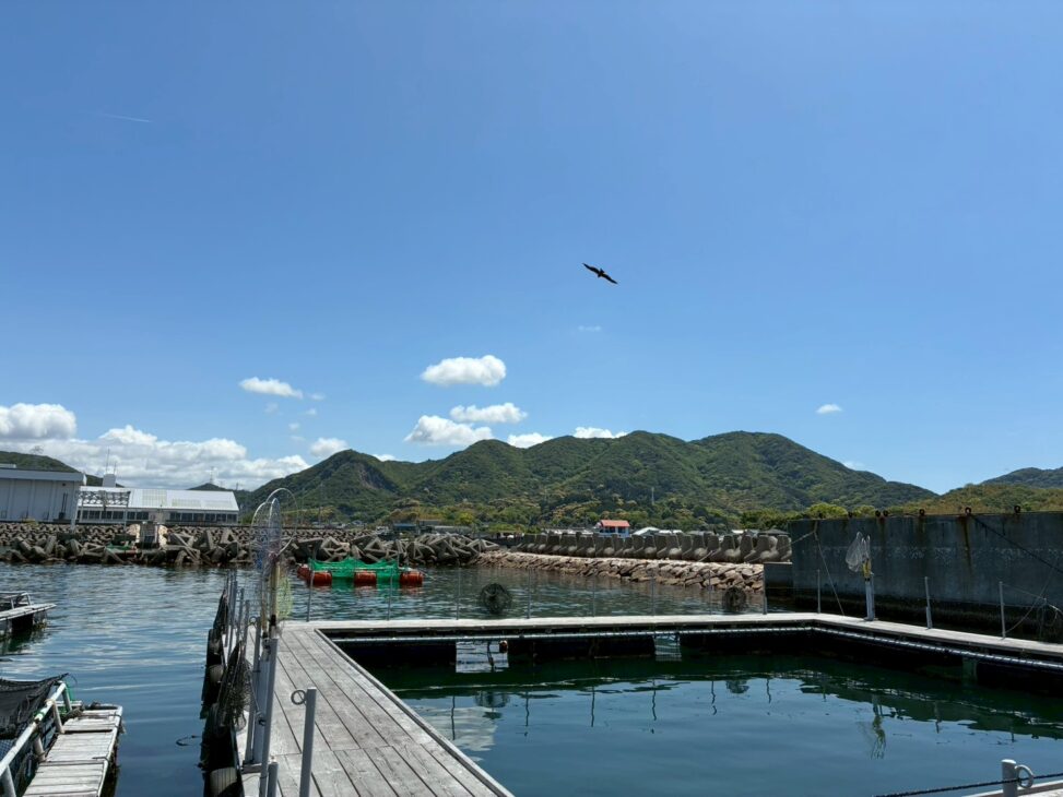 釣り堀からの景色(青空・山)