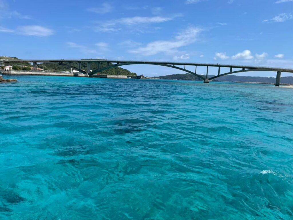 海