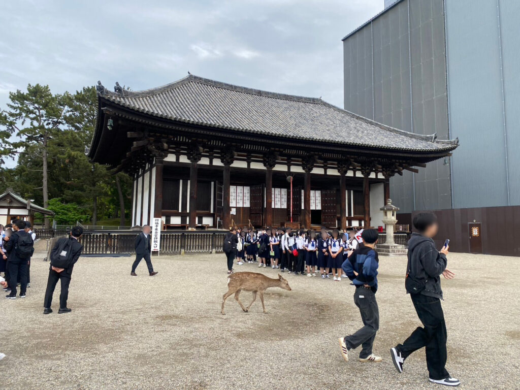 境内を歩く鹿